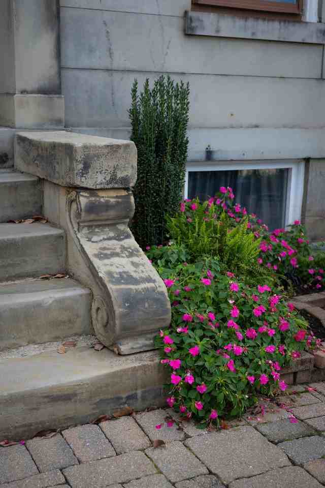 225 Riverside Dr Apt 1 #1 - Photo 4 of 44