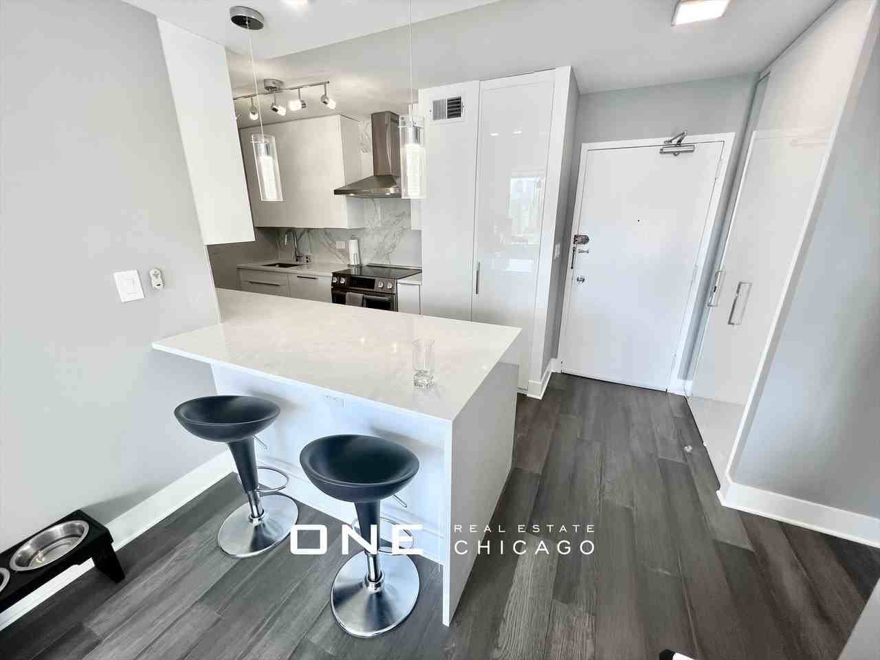 N Sandburg Ter #1605 - Photo 2 of 11