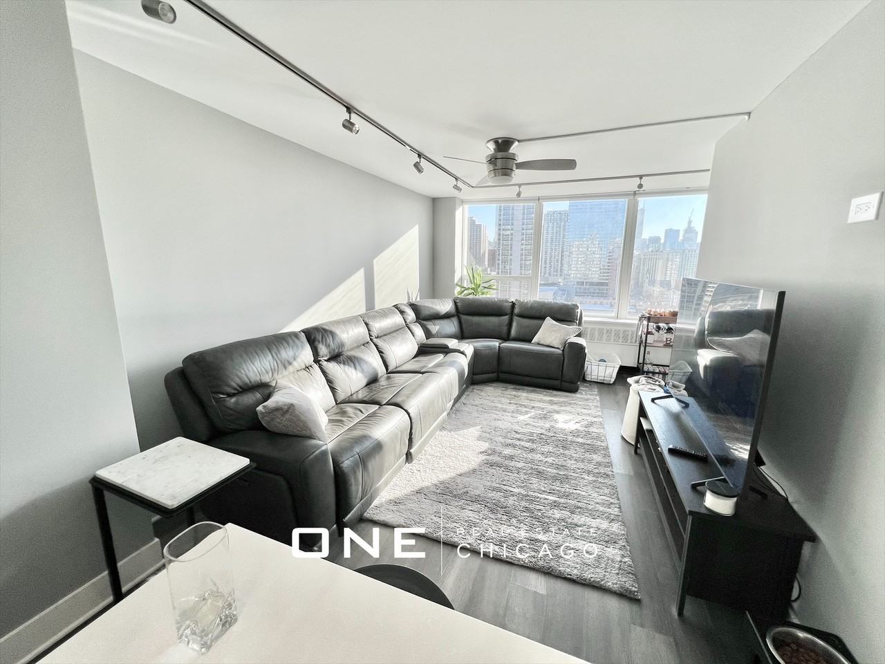 N Sandburg Ter #1605 - Photo 5 of 11