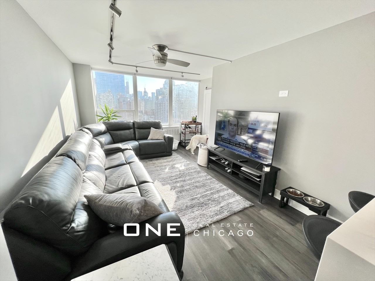 N Sandburg Ter #1605 - Photo 6 of 11