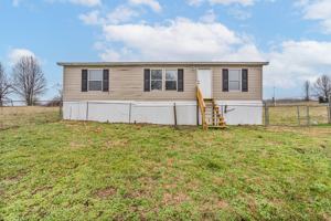 featured image of 20 Conner