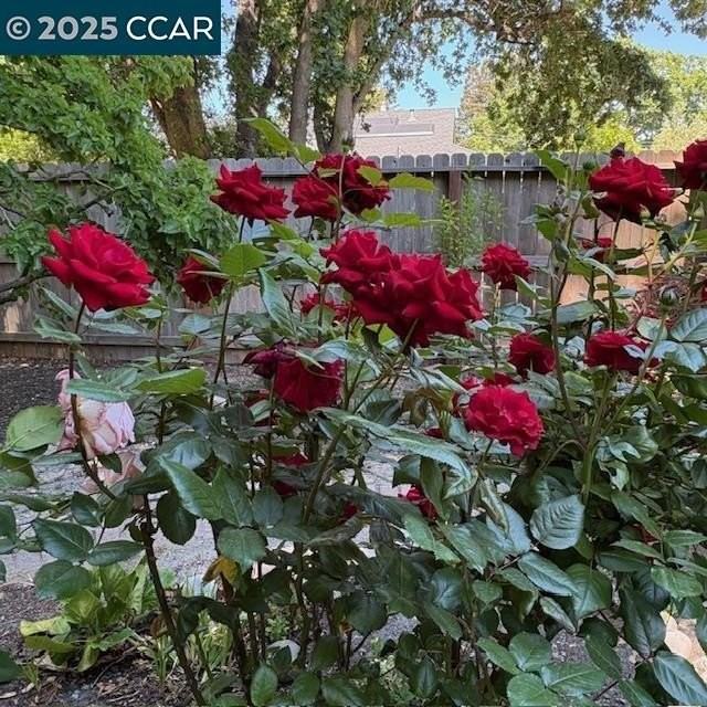 2150 Whyte Park Ave - Photo 3 of 50