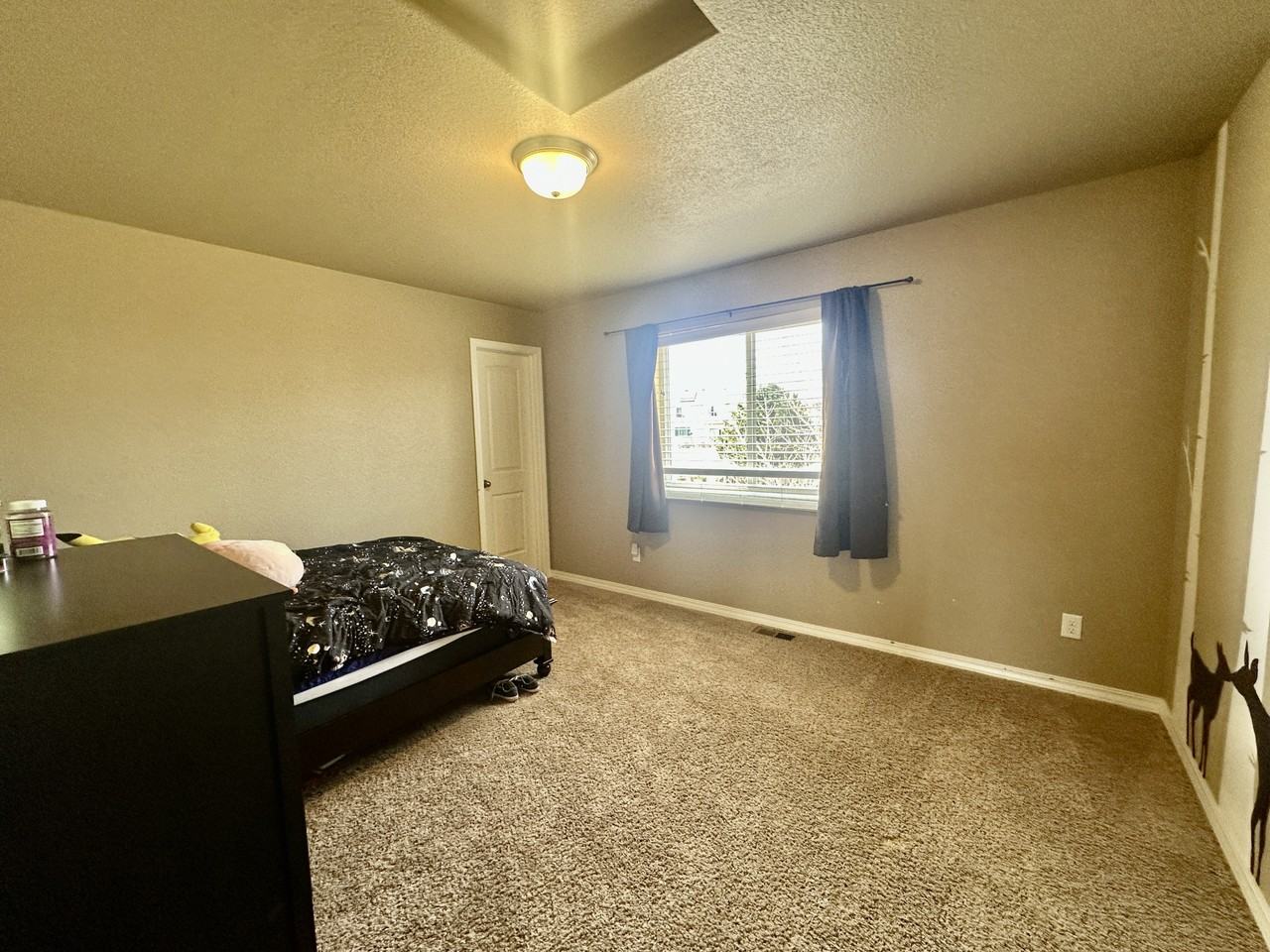 3755 Reindeer Cir - Photo 6 of 21