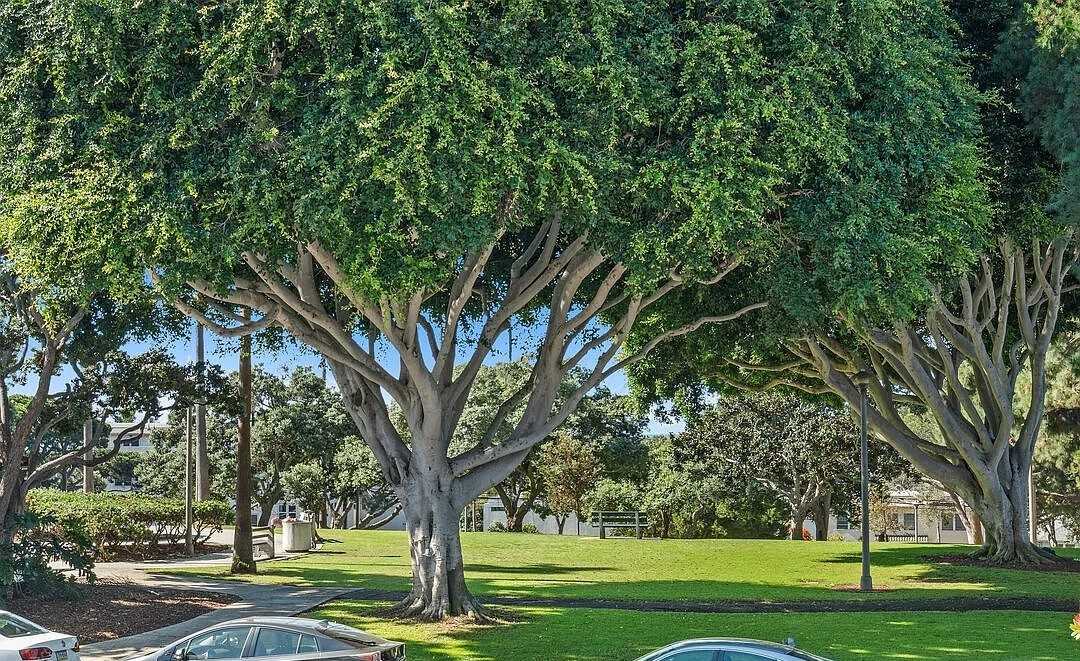 2311 4Th St - Photo 6 of 29