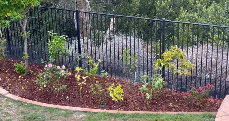 1242 Bellingham Dr - Photo 4 of 17