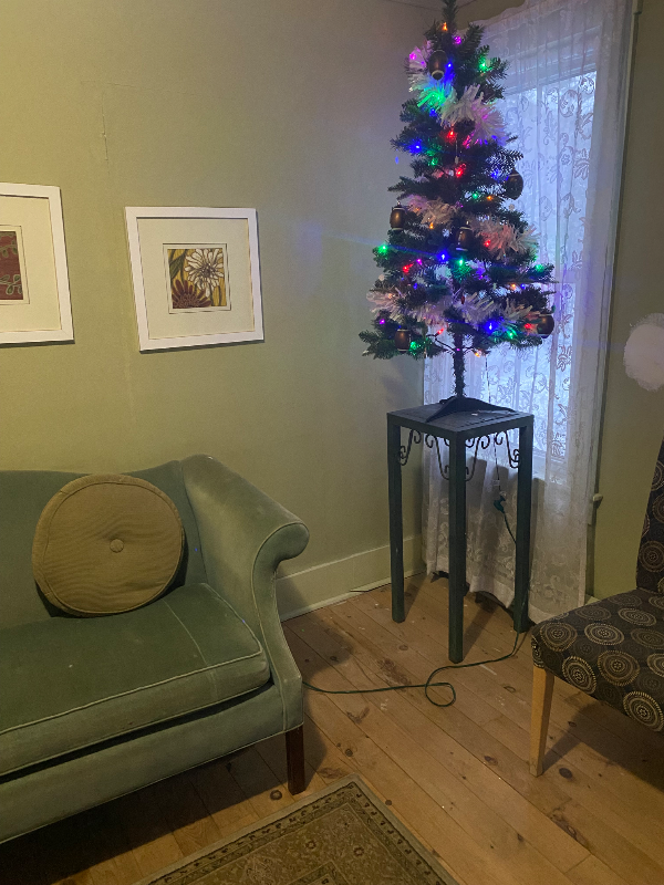 209 Academy St - Photo 7 of 14