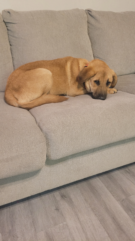 1644 Lanesboro Dr - Photo 2 of 2