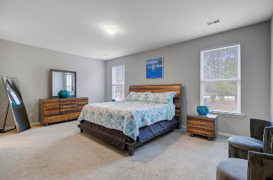 1038 Magnolia Warbler Way - Photo 5 of 15