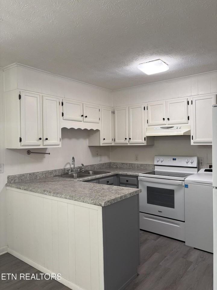 101 Paint Rock Ferry Rd Apt 3 #3 - Photo 6 of 6