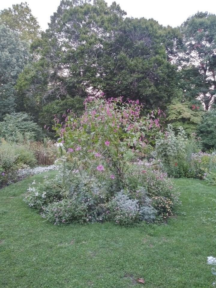 S 54th St - Photo 2 of 28