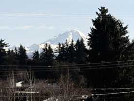 1909 Salton Road #132 - Photo 1 of 1