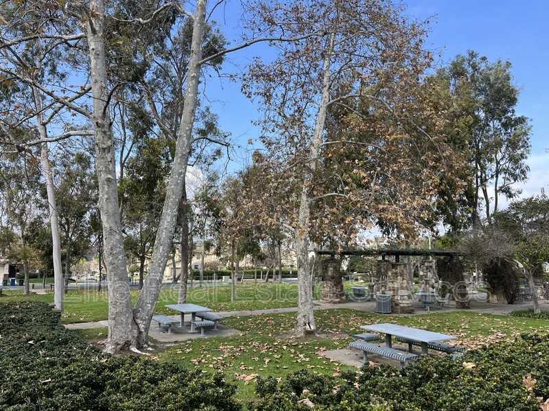 1162 Hanford Ct - Photo 4 of 12