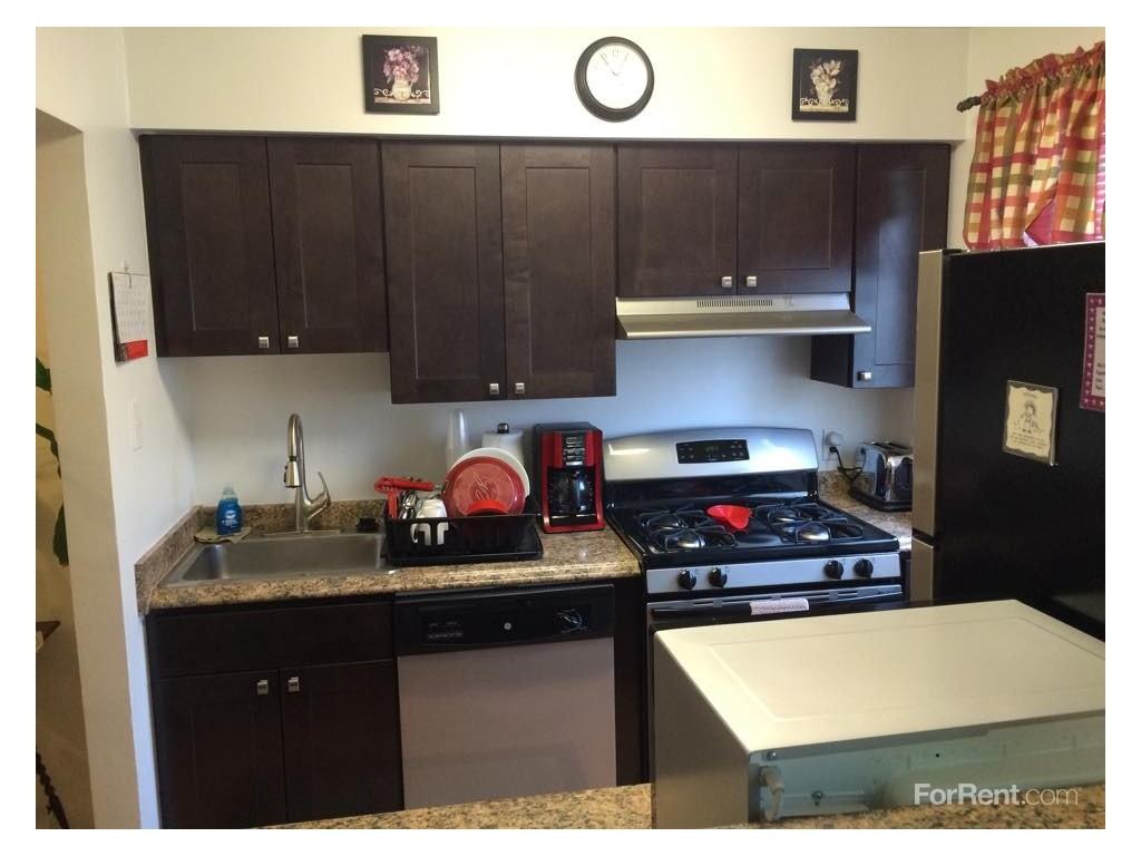 Hidden Forest - Photo 2 of 19