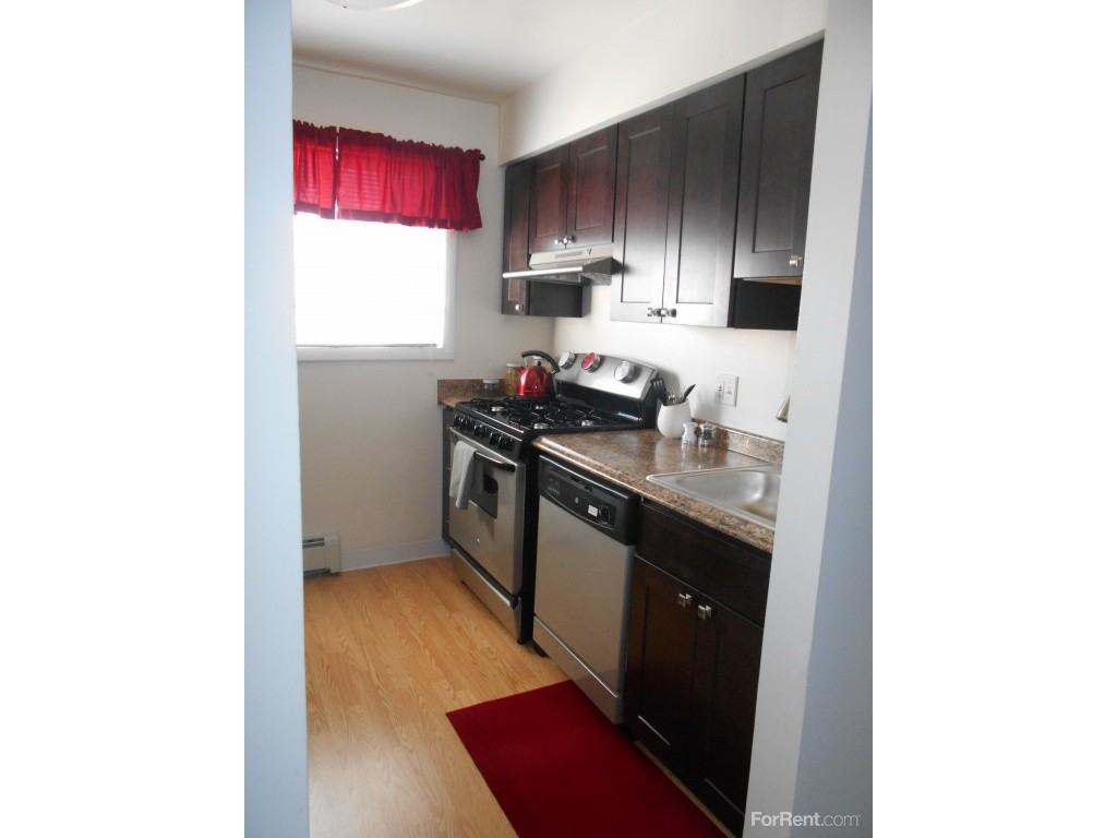 Hidden Forest - Photo 3 of 19