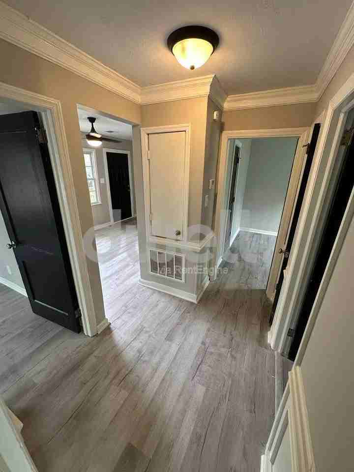 2932 Abelia Dr - Photo 3 of 10