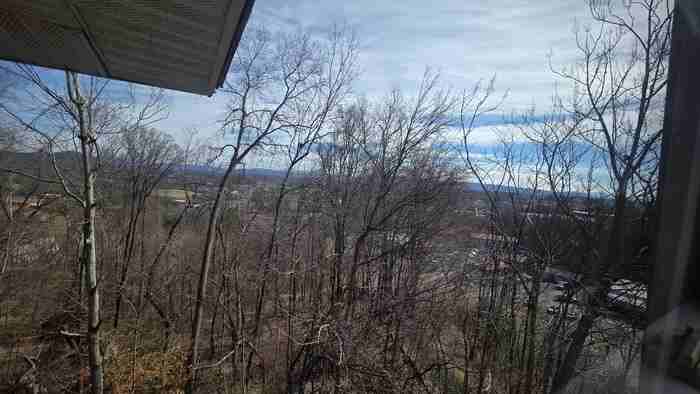 3614 N Roan St #7 - Photo 5 of 6