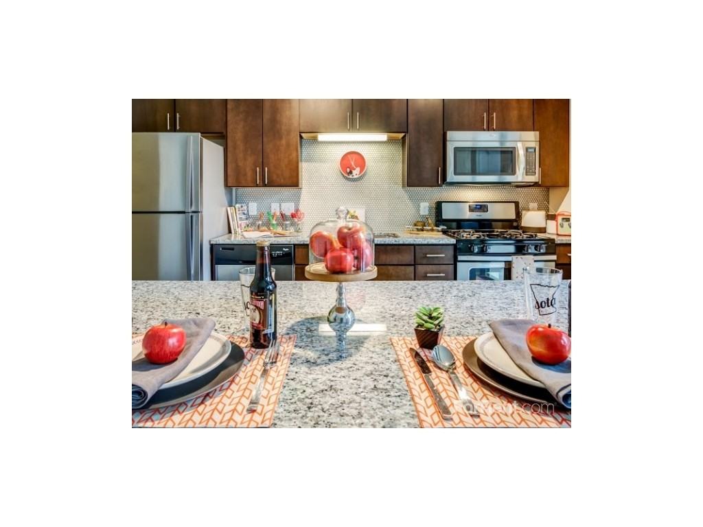 VELO - Photo 3 of 17