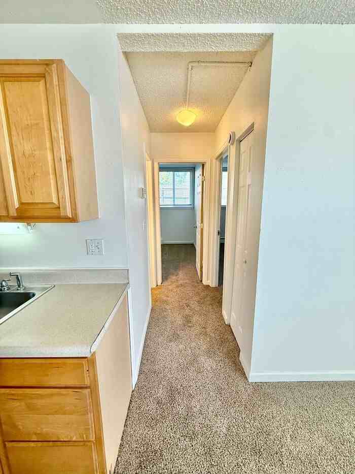 1925 Pecan St #D - Photo 7 of 14