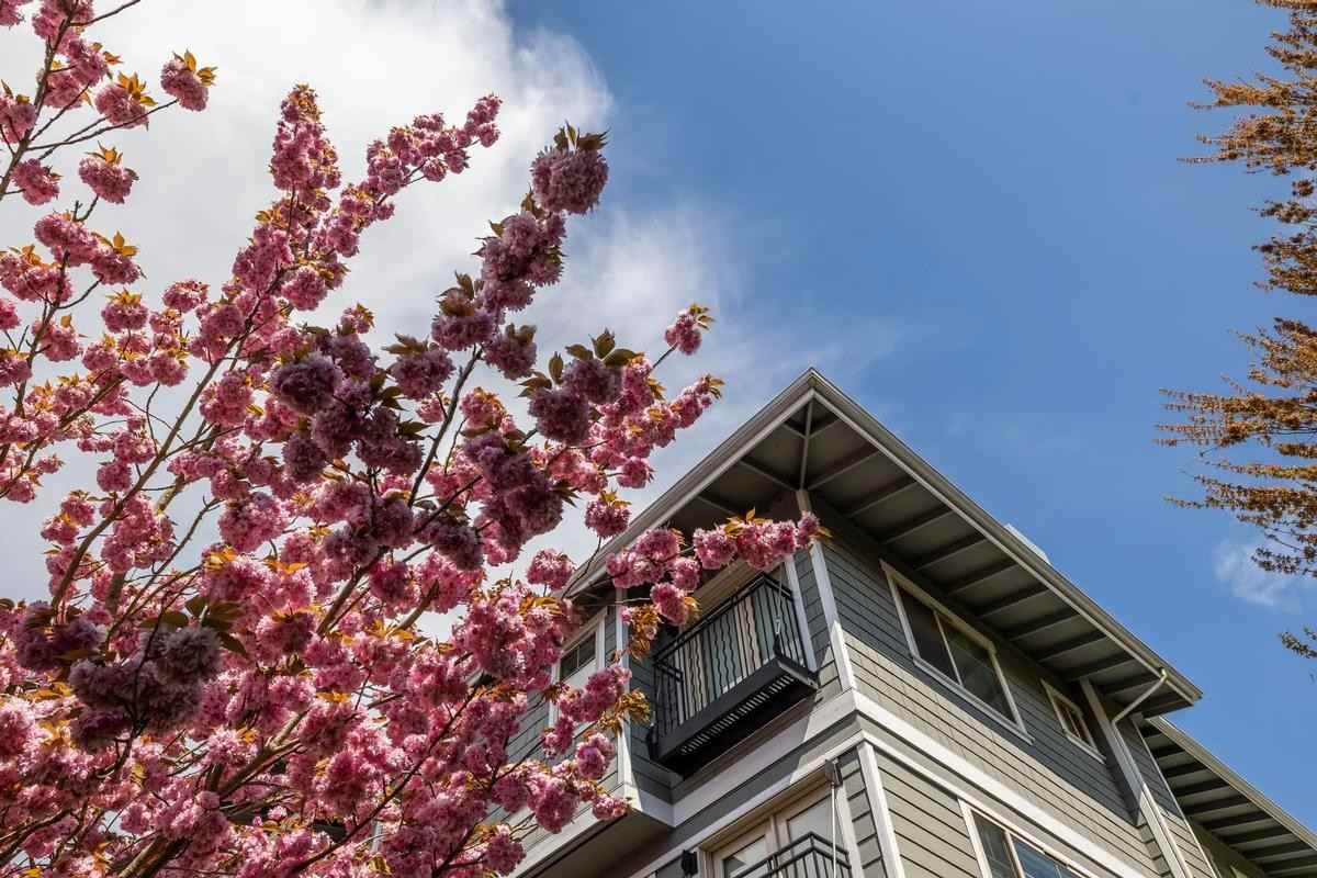 4779 Lynwood Center Rd Ne - Photo 7 of 24