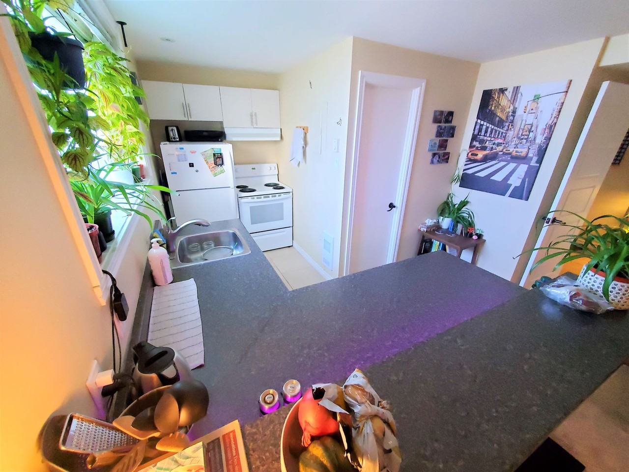 53 Rue Perrault - Photo 7 of 20