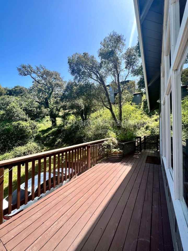 766 Loma Prieta Dr - Photo 6 of 17