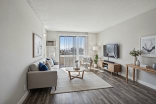 Cielo - Photo 1 of 1