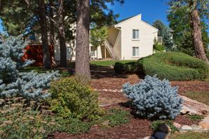 featured image of 2485 Gold Rush Dr