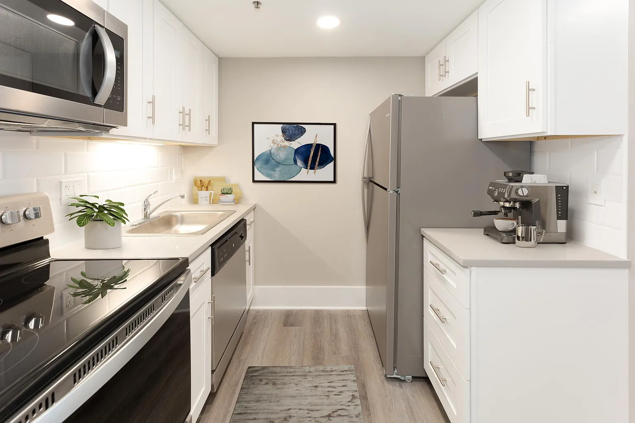 244 East Pearson Street, Unit 320H - Photo 2 of 10