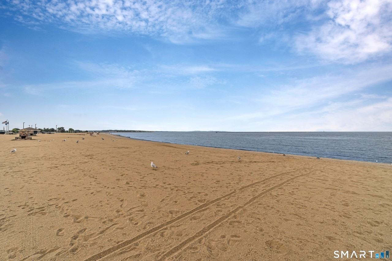 115 Short Beach Rd Unit 103 #103 - Photo 2 of 17