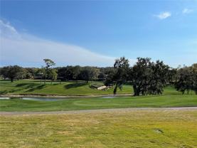 36750 Us Highway 19 N - Photo 1 of 1