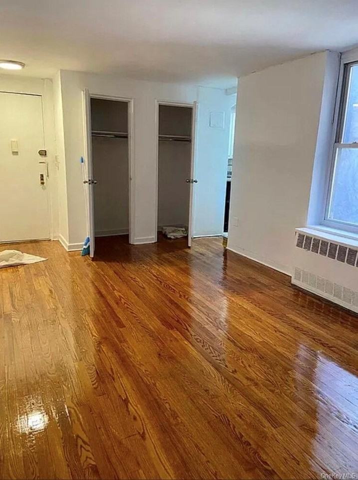 151 E 20th St Apt 4g #4G - Photo 3 of 7