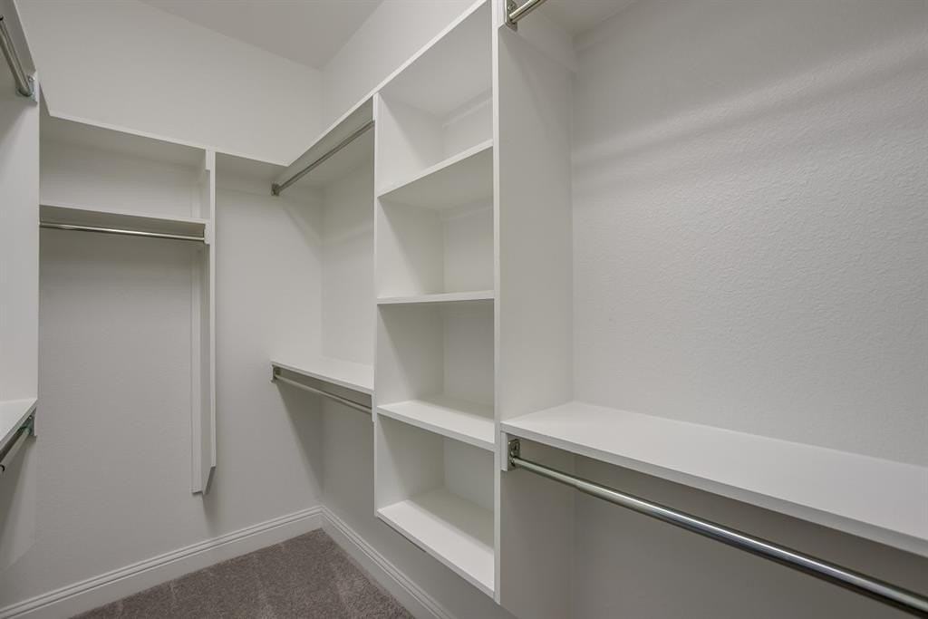 3101 Damsel Sauvage Ln - Photo 6 of 14