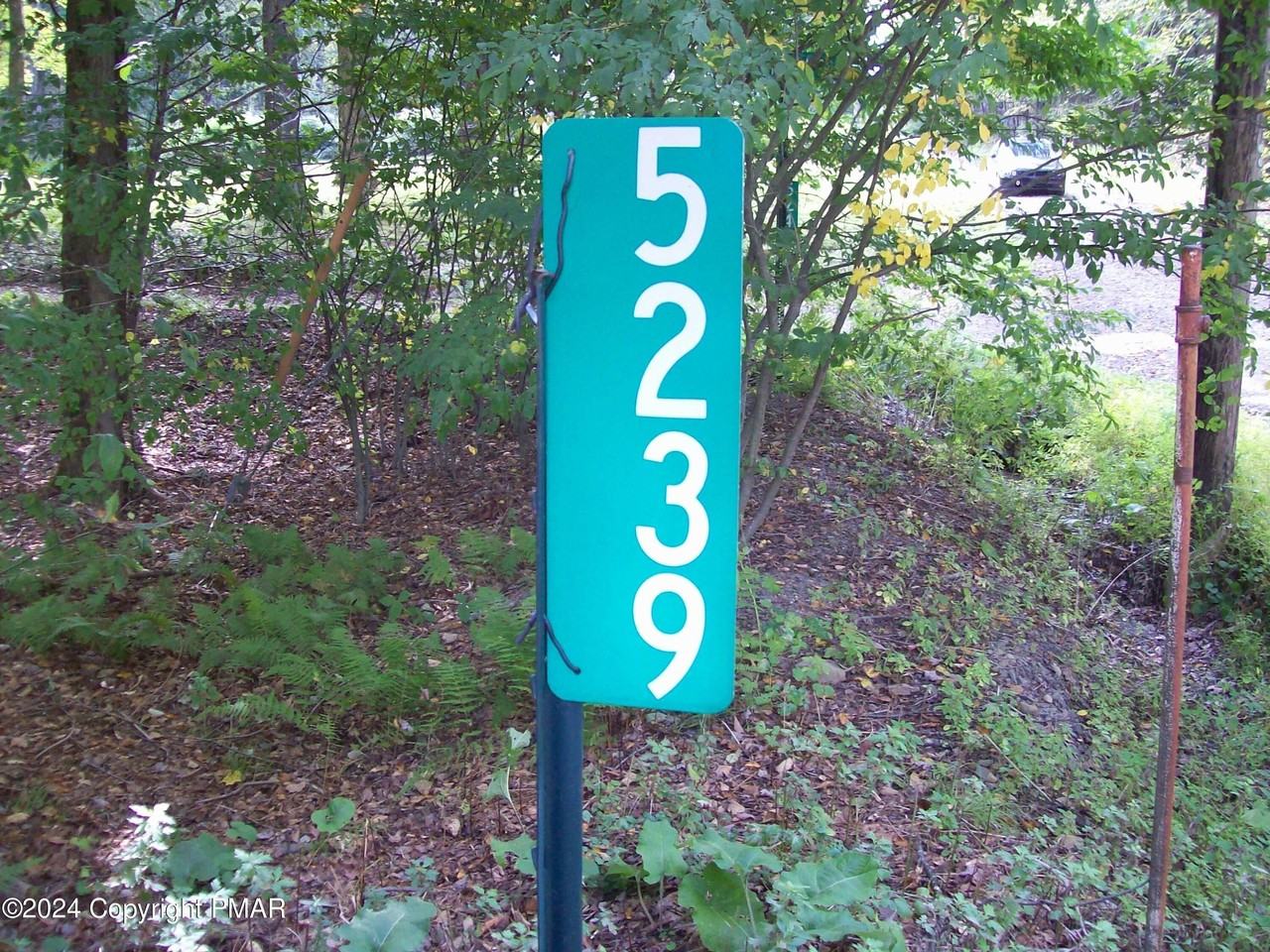 5239 Goldenrod Ave - Photo 3 of 20