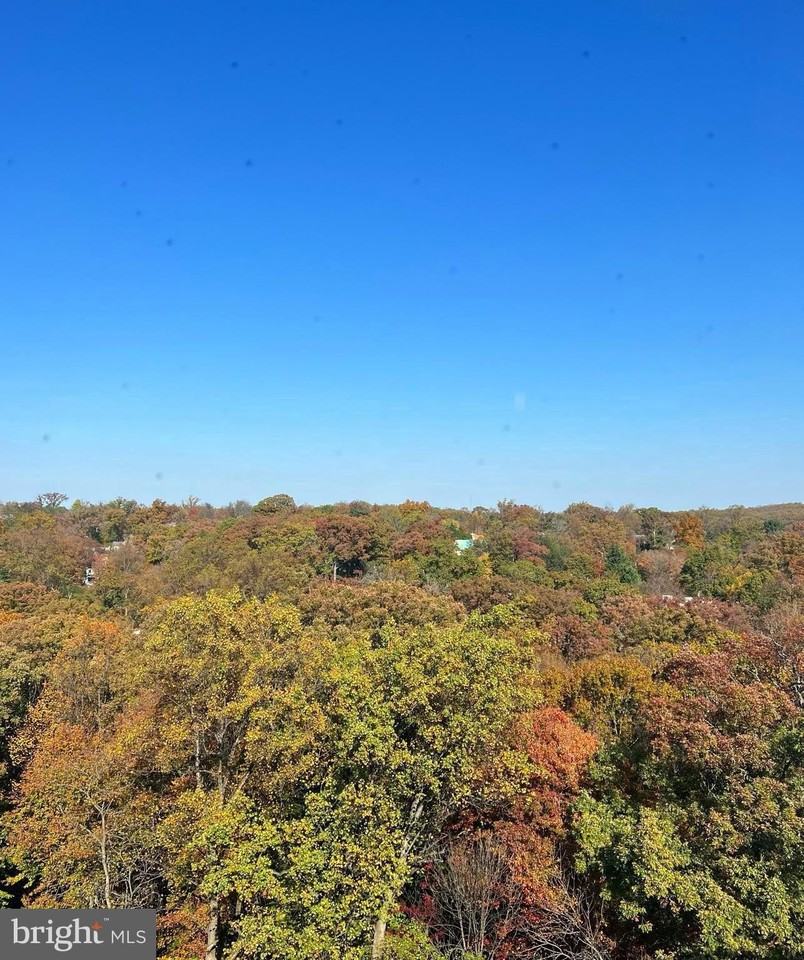 2939 Van Ness St Nw Apt 1212 #1212 - Photo 2 of 20