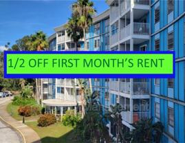 3315 58th Ave S #311 - Photo 1 of 1