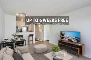 The Collective - Photo 1 of 1