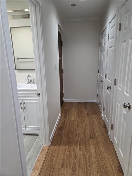 1000 Lexington St #36 - Photo 5 of 10