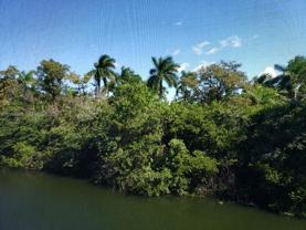 116 Royal Park Dr #2D - Photo 1 of 1