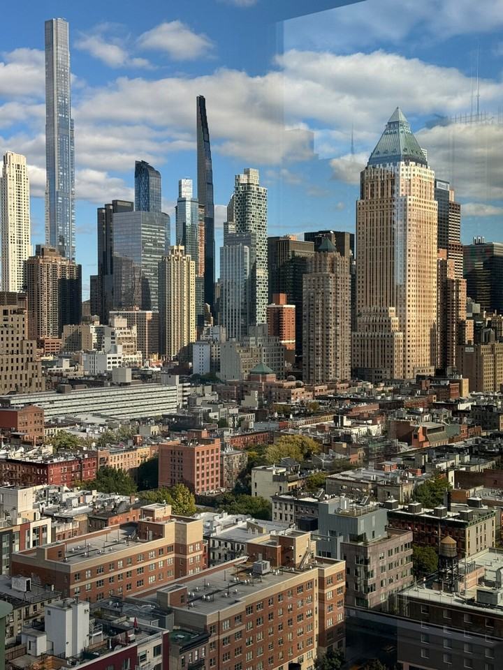 469 W 42nd St #1461697P - Photo 4 of 8