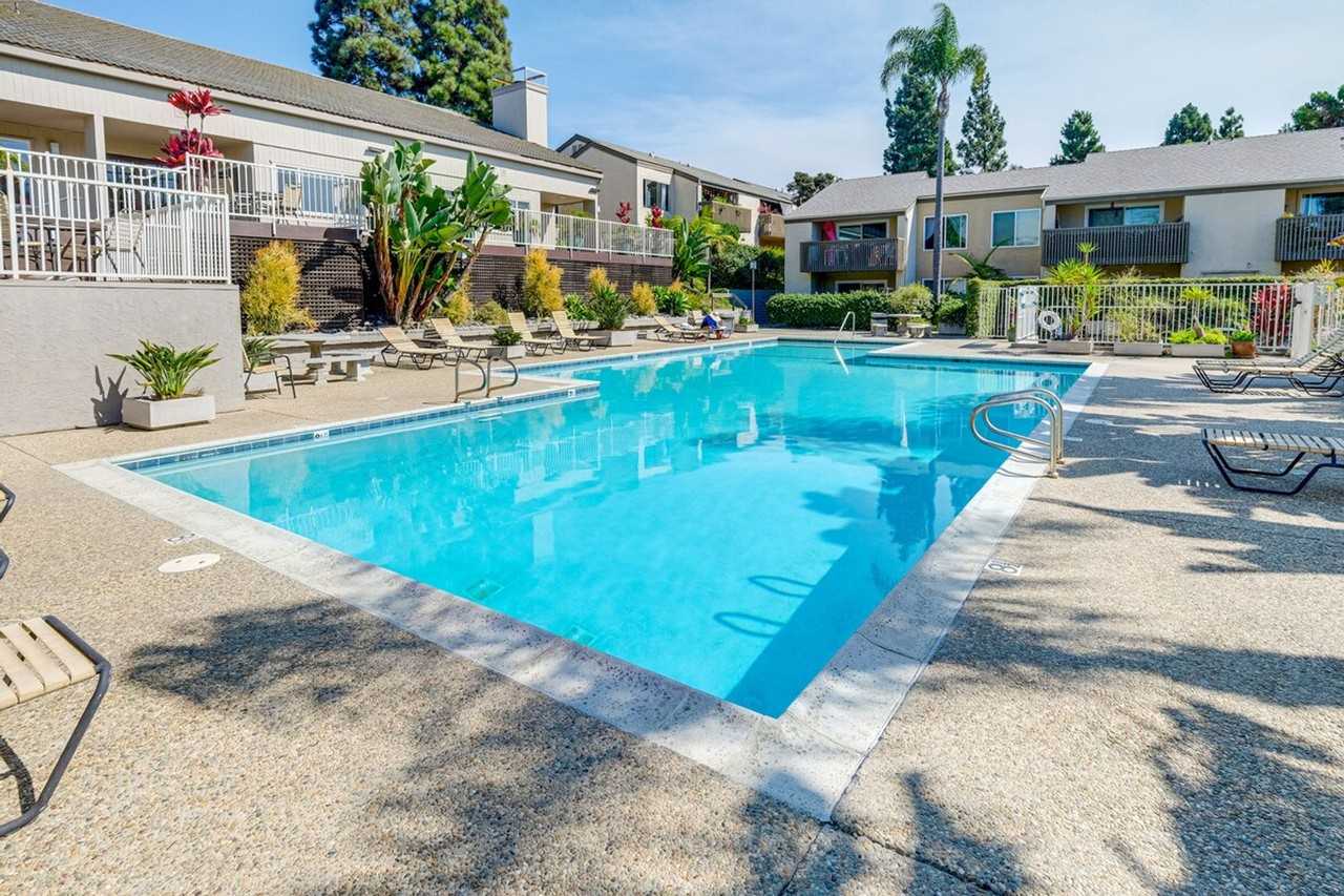 8540 Via Mallorca #1308078P - Photo 4 of 24