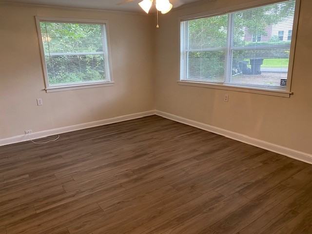 504 Cactus St - Photo 7 of 20