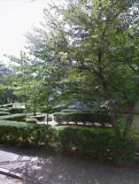 114 Parsons St #A - Photo 1 of 1