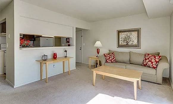 Autumn Woods - Photo 2 of 22