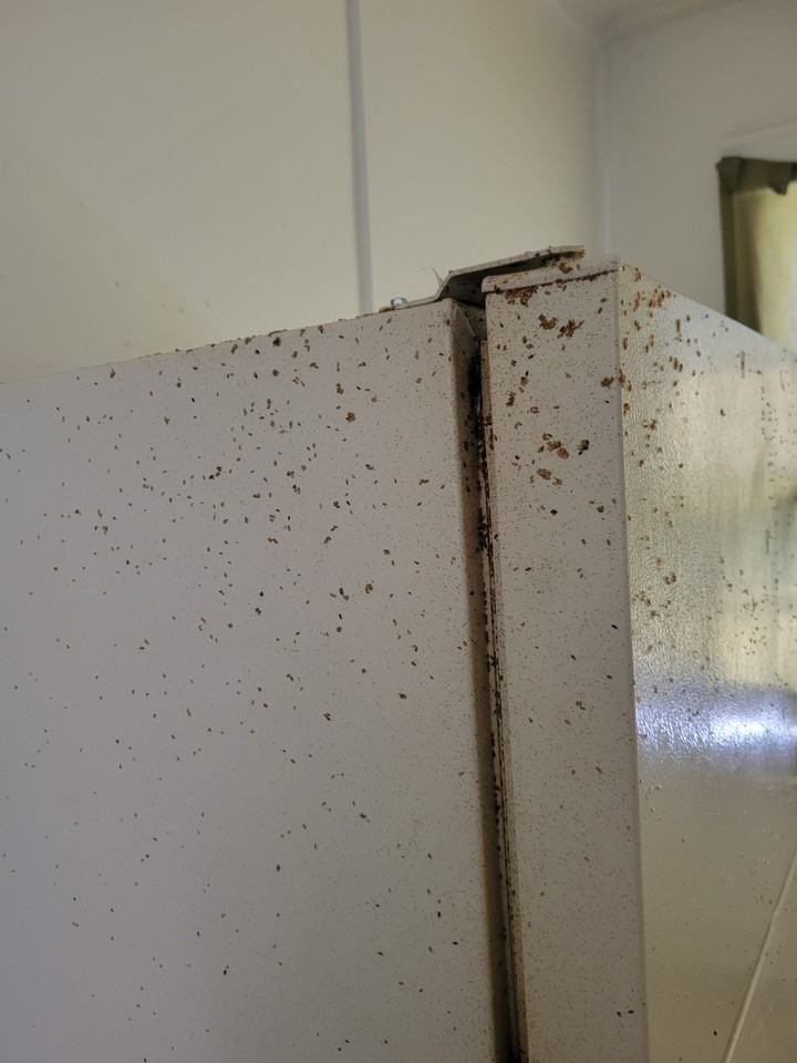 2113 W Howett St - Photo 2 of 50