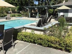 40425 Chapel Way #205 - Photo 1 of 1