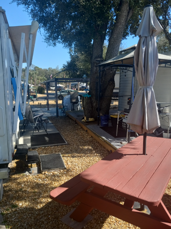 10173 N Suncoast Blvd #118 - Photo 5 of 9