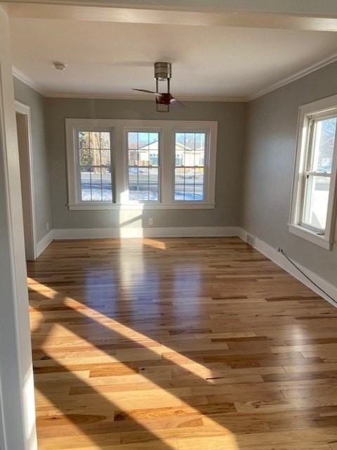 1651 Empire Blvd Unit 1 - Photo 3 of 12