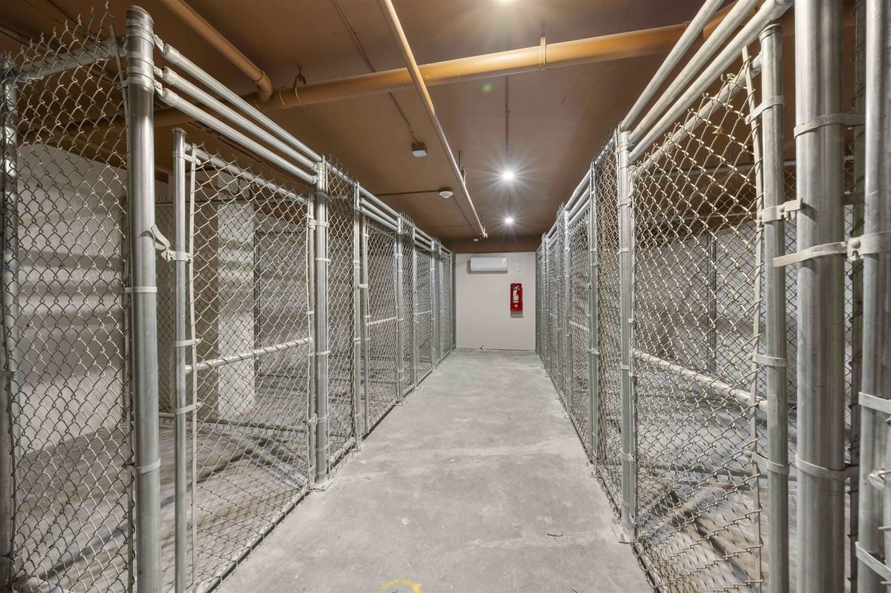 1 Mallory Ave #507 - Photo 6 of 16