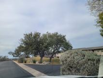 306 Out Yonder - Photo 1 of 1