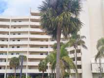 6009 Sea Ranch Dr #310 - Photo 1 of 1